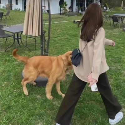 反派女友超戏精